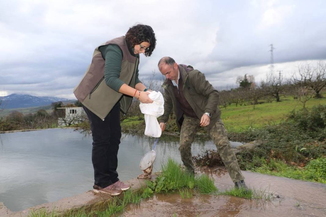 Yol kenarında tesadüfen bulundu: Zoologlar apar topar bu ilimize gitti! Meğer eskiden Kuzey Anadolu'da yaygınmış 7